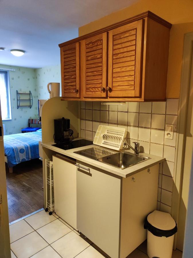 Residence L'Alexandra 2 Etoiles Bourbonne-les-Bains Eksteriør billede